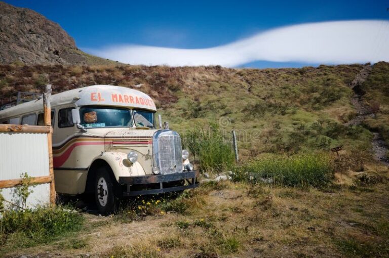 Cómo Viajar de Santa Rosa a Mar del Plata en Colectivo 9 autobus en carretera con paisaje argentino