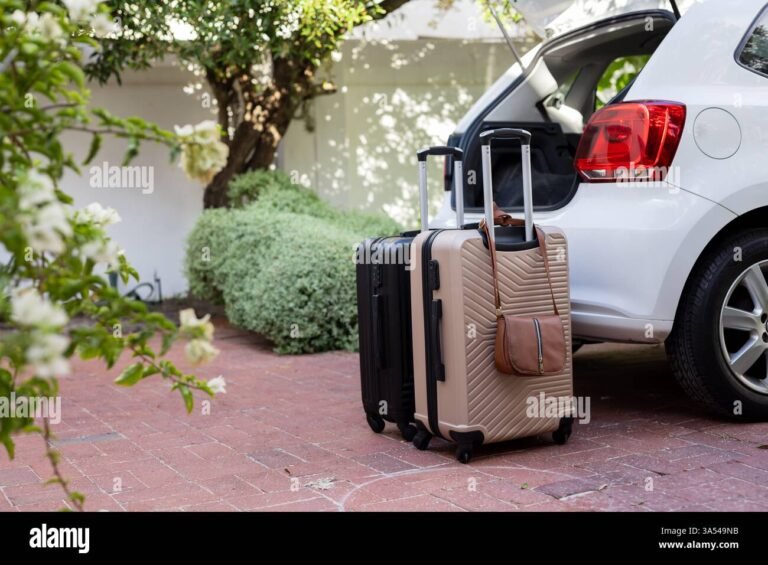 automovil con maleta en carretera panoramica