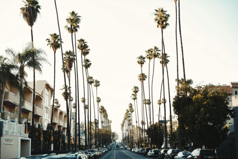 Qué servicios y atractivos ofrece el barrio Las Heras en Mar del Plata