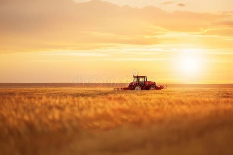 Qué servicios ofrece Auto Agro San Lorenzo en Argentina