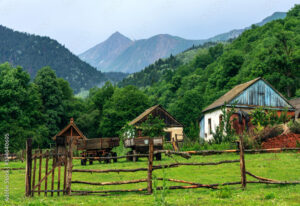 casa rustica en paisaje montanoso verde