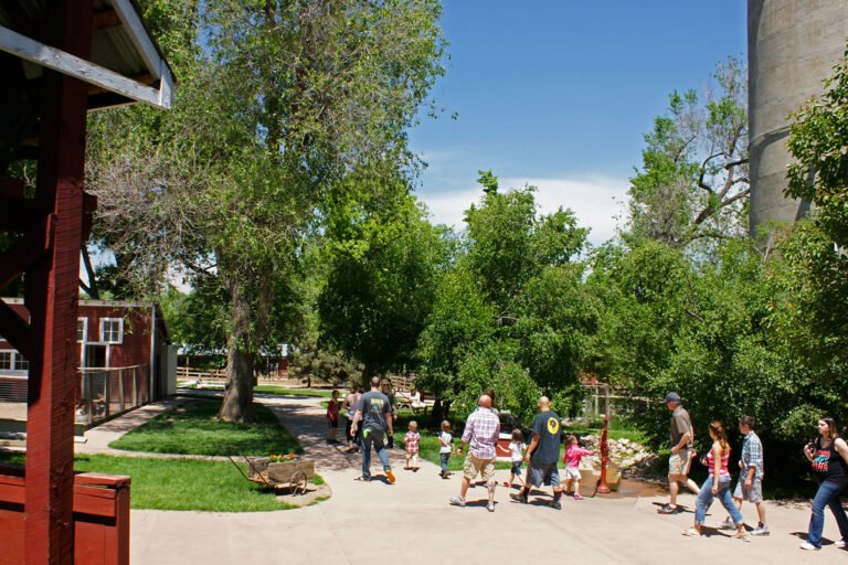 Dónde Queda El Centro Del Parque Martínez Y Qué Actividades Ofrece 8 entrada principal parque martinez con familias disfrutando