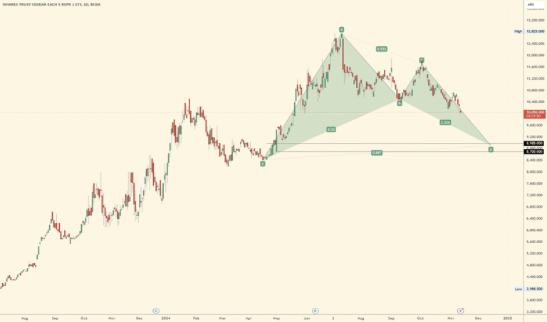 Qué información ofrece el panel general de acciones argentinas