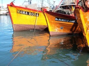 mapa ruta colectivo mar del plata puerto