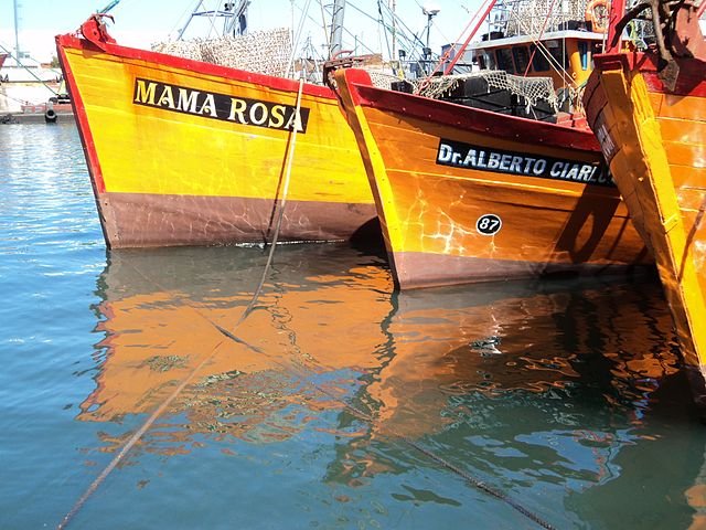 Cómo Llegar Al Puerto De Mar Del Plata En Colectivo Desde La Ciudad 2 mapa ruta colectivo mar del plata puerto