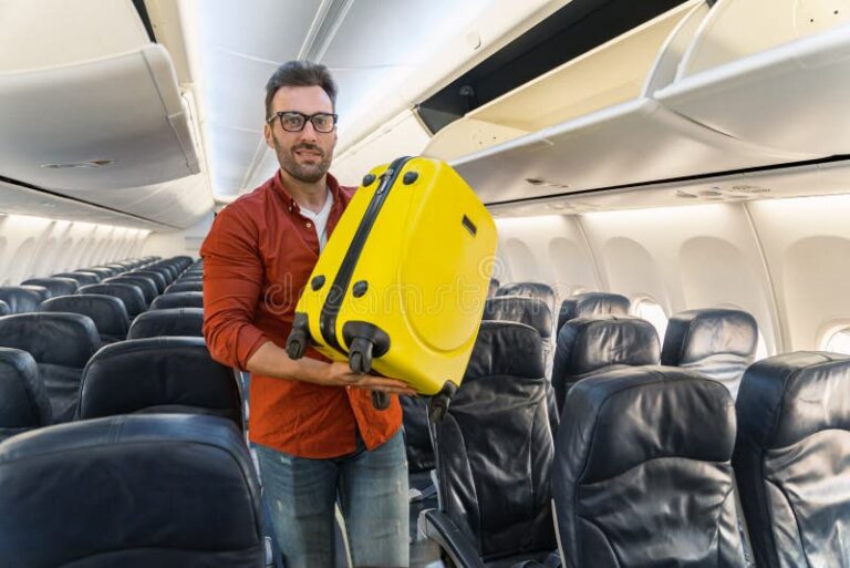 pasajero feliz con maletas y avion
